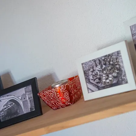 Zebra Apartment