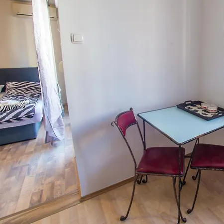 Zebra Apartment