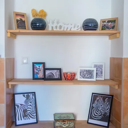 Zebra *